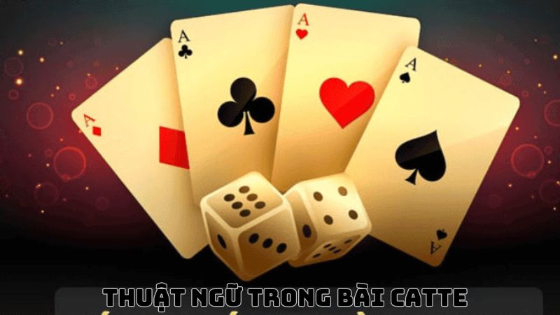 thuật ngữ cách chưng bài Catte