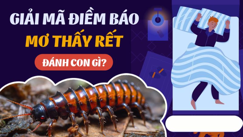 mơ thấy rết nên đánh con gì