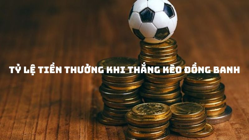 Tỷ lệ trả thưởng kèo đồng banh